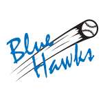 BSC Hickory (Senioren) vs Blue Hawks H2