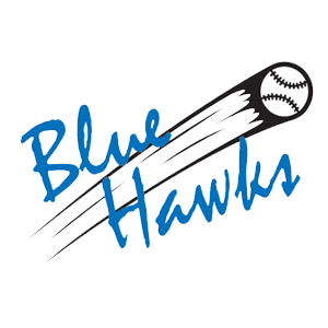 Blue Hawks