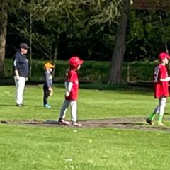 Hickory Beeballers veroveren Hengelo!